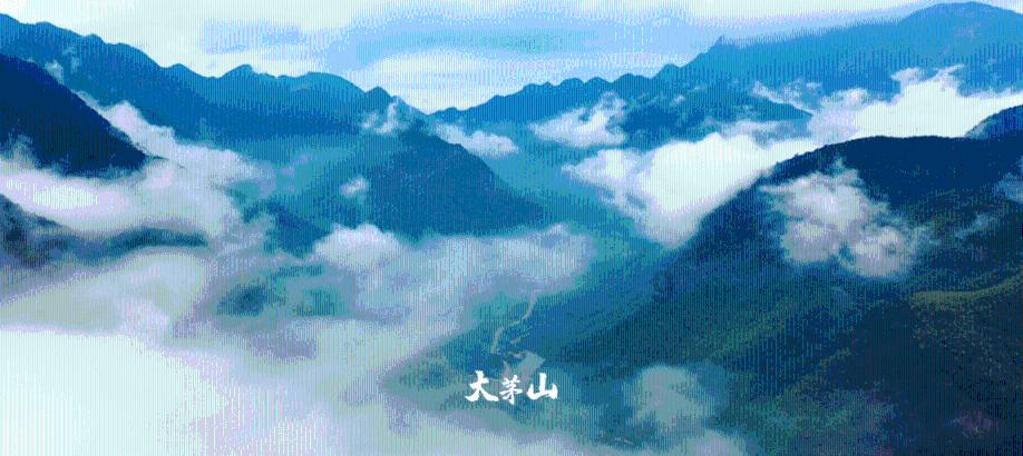 小猪佩奇玩躲避球2